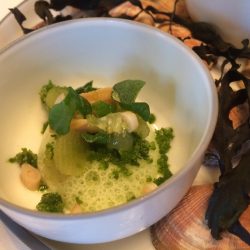 Snack #2 Koriandergranitée