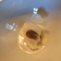 Amuse Bouche: Ziegenkäse / Anchovi