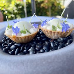 Amuse Bouche