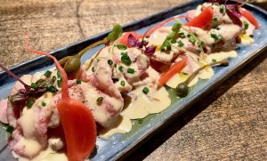 phaedra, Köln phaedra, Köln