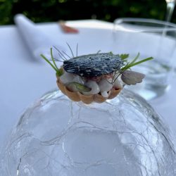 Amuse Bouche
