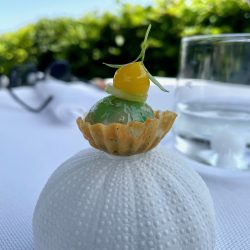 Amuse Bouche